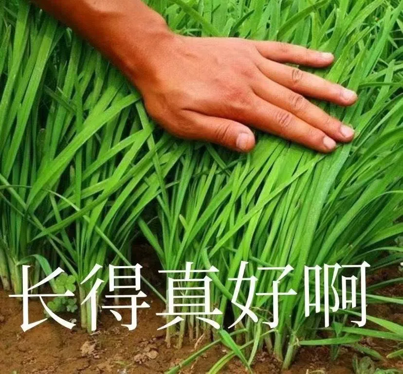 你还在追风口，还在当韭菜？ 我靠做私域卖项目一个月赚10万，曾经我也是失败者