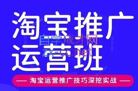 美迪电商·淘宝高级运营班+推广运营班(更新9月)-创客联盟
