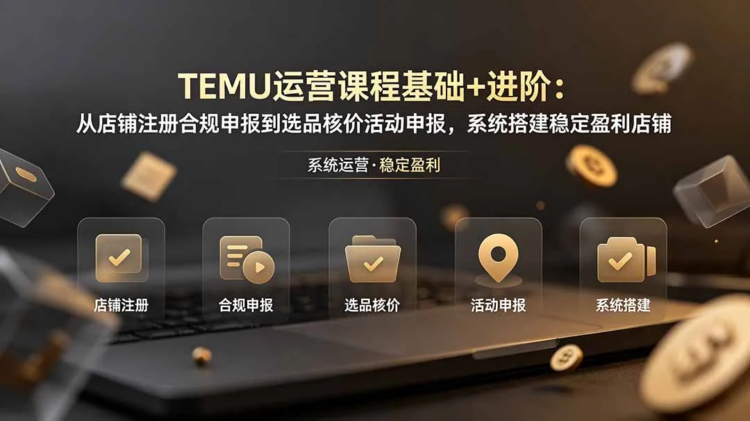 TEMU运营课程(基础+进阶-创客联盟