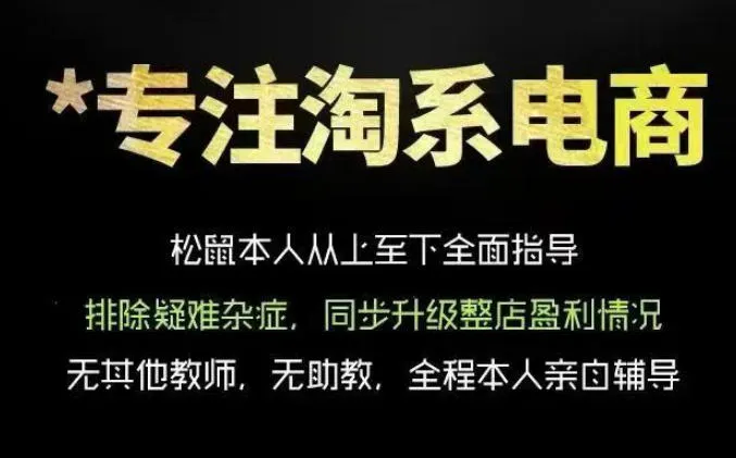 松鼠会电商VIP课程，从基础布局到高阶优化，助你掌握淘宝运营逻辑，提升店铺流量与转化-创客联盟