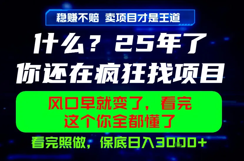 26年,请不要疯狂的找项目做了!卖项目才是真的稳賺不赔,看完照做,保底日入1k+【揭秘】-创客联盟