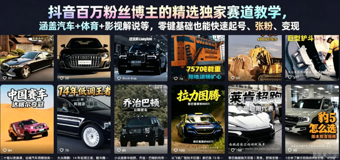 抖音百万粉丝博主的精选独家赛道教学,涵盖汽车+体育+影视解说等,零基础也能快速起号、涨粉、变现(更新0701)-创客联盟