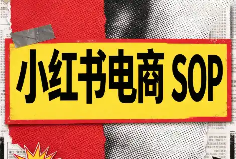 书豪必胜小红书电商sop(更新9月)-创客联盟